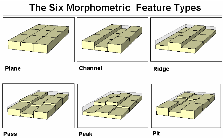 Los 6 tipos de características morfométricas